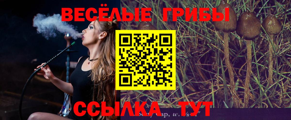 где продают наркотики  Галлюциногенные грибы Cubensis  Вход с VPN  Бийск  Галлюциногенные грибы Magic Shrooms 